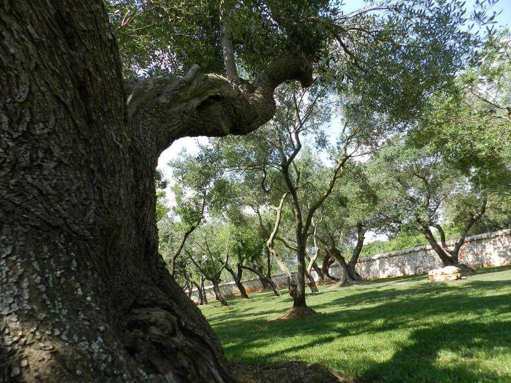 Penzion I Trulli Del Nonno Michele Alberobello Exteriér fotografie